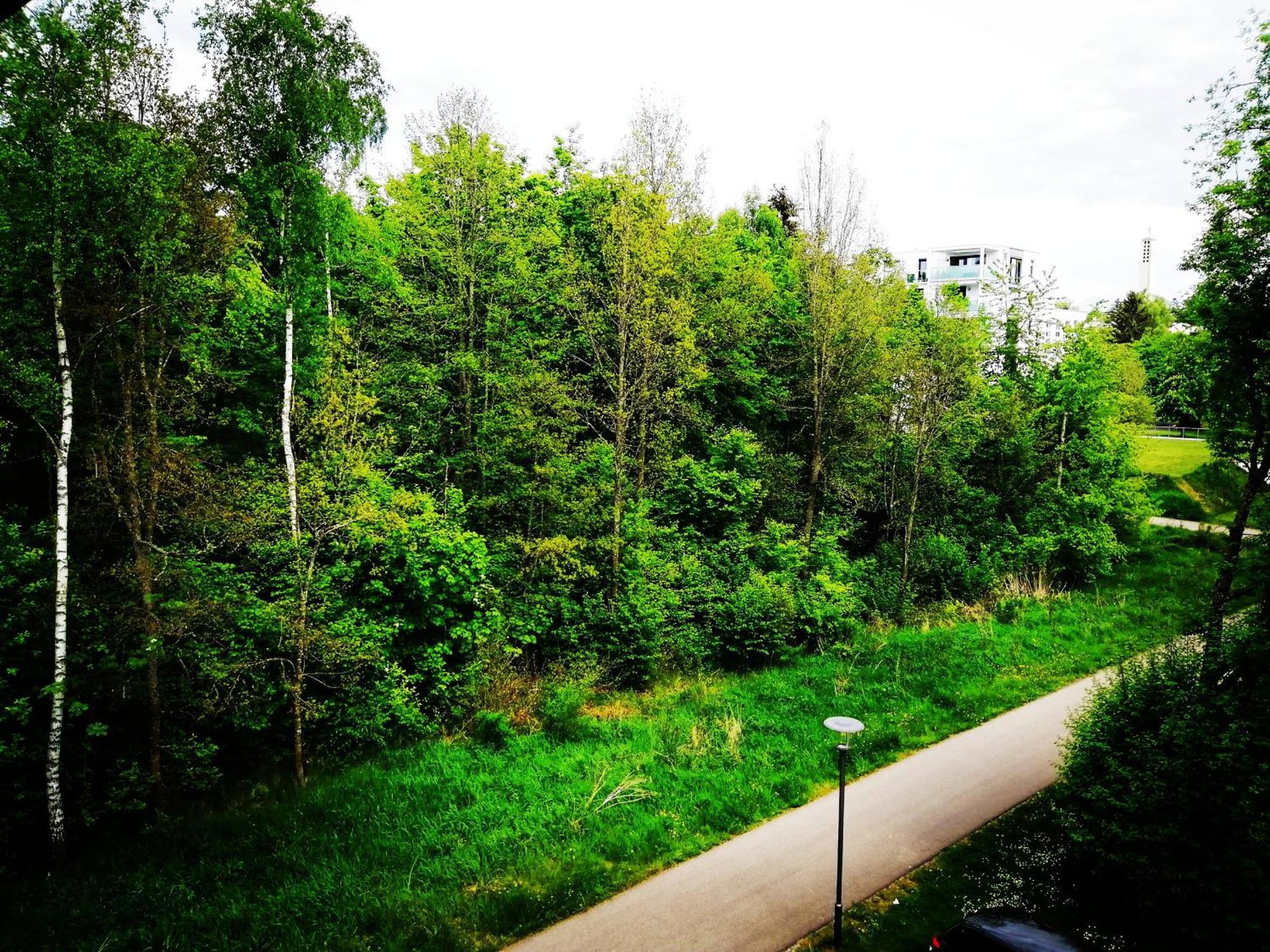 Ferienwohnung Villingen Buitenkant foto